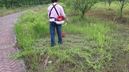 Hot Sale Gx50 Brush Cutter Sidepack 